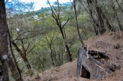 Well-hidden. Coming upon the Bunker from above, unawares. Photo by James MacLaren. Well-hidden. Coming upon the Bunker from above, unawares. Photo by James MacLaren.